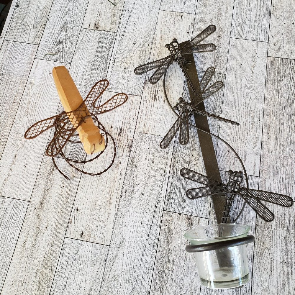 Dragonfly delight